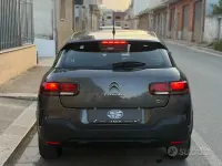Usata Citroën C4 Cactus Feel 102 CV (75 kW) 2020 Grigio Utilitaria