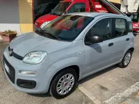 Usata Fiat Panda Easy 69 CV (50 kW) 2020 Grigio Utilitaria
