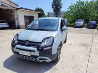 Usata Fiat Panda Cross Cross 69 CV (50 kW) 2020 Verde Utilitaria