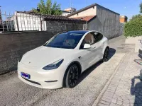 Usata Tesla Model Y Performance 155 kW (211 CV) 2022 SUV