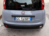 Usata Fiat Panda City Life 69 CV (50 kW) 2021 Utilitaria