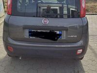 Usata Fiat Panda City Life 69 CV (50 kW) 2022 Utilitaria