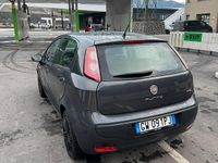 Usata Fiat Punto Evo 69 CV (50 kW) 2011 Grigio Utilitaria