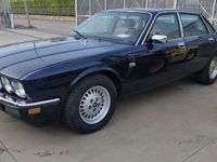 usata Jaguar XJ6 3.6 Daimler manuale