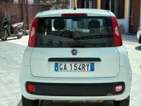 Usata Fiat Panda Cross Cross 85 CV (62 kW) 2020 Bianco Utilitaria