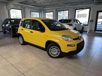 Nuova Fiat Panda Pop 69 CV (50 kW) 2026 Bianco gelato / vari colori Utilitaria