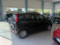 Usata Fiat Panda S 69 CV (50 kW) 2024 Nero Utilitaria