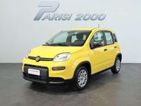 Nuova Fiat Panda S 69 CV (50 kW) 2025 Giallo Utilitaria