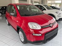 Usata Fiat Panda 70 CV (51 kW) 2024 Rosso Utilitaria