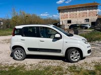 Usata Fiat Panda 85 CV (62 kW) 2014 Utilitaria