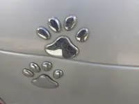 Usata Ford C-MAX Titanium 90 CV (66 kW) 2009 Grigio Monovolume