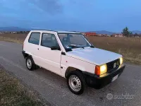 Usata Fiat Panda Young 54 CV (39 kW) 2003 Bianco Utilitaria