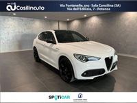 usata Alfa Romeo Stelvio 2.2 Turbodiesel 210 CV AT8 Q4 Estrema