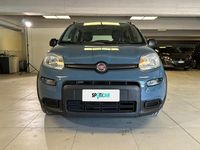 Usata Fiat Panda City Life 70 CV (51 kW) 2021 Blu/azzurro Utilitaria