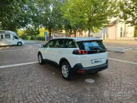 Usata Peugeot 5008 Active 131 CV (96 kW) 2023 Bianco SUV
