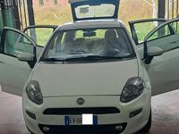 Usata Fiat Punto Evo 75 CV (55 kW) 2014 Bianco Utilitaria