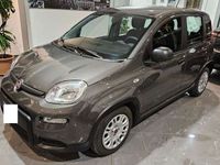 usata Fiat Panda Panda1.0 Hybrid 70 cv