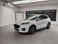 Usata Ford Kuga ST-Line 190 CV (139 kW) 2023 Bianco SUV