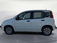 usata Fiat Panda 1.2 Pop