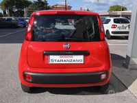 Usata Fiat Panda Easy 95 CV (69 kW) 2019 Rosso Utilitaria