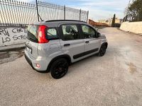 Usata Fiat Panda 45 CV (33 kW) 2022 Utilitaria