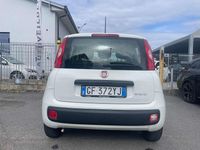 Usata Fiat Panda City Life 69 CV (50 kW) 2021 Other Utilitaria