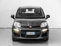 Usata Fiat Panda Easy 69 CV (50 kW) 2019 Grigio Utilitaria