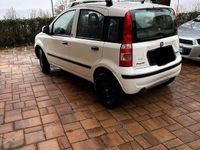 Usata Fiat Panda 77 CV (56 kW) 2011 Bianco Utilitaria