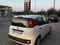 Usata Fiat Panda Easy 69 CV (50 kW) 2019 Bianco Utilitaria