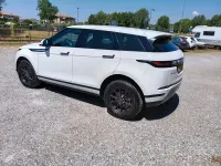Usata Land Rover Range Rover evoque S 163 CV (119 kW) 2021 Bianco SUV