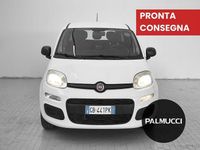Usata Fiat Panda Easy 69 CV (50 kW) 2020 Utilitaria
