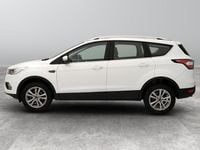 Usata Ford Kuga Business Edition 120 CV (88 kW) 2019 Bianco SUV