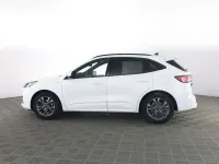 Usata Ford Kuga ST-Line 120 CV (88 kW) 2021 Frozen white  pastello SUV