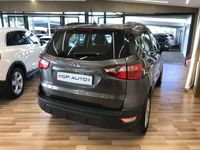 usata Ford Ecosport 1.0 EcoBoost 100 CV Plus