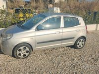 Usata Kia Picanto 2010 Grigio Utilitaria