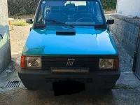 Usata Fiat Panda 4x4 54 CV (39 kW) 2000 Verde Utilitaria