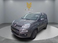Usata Fiat Panda 69 CV (50 kW) 2019 Grigio Utilitaria