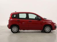 Nuova Fiat Panda 70 CV (51 kW) 2025 Utilitaria
