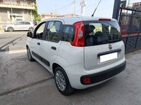 usata Fiat Panda Panda 1.2la più amata dagli italiani