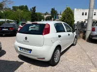 Usata Fiat Punto Lounge 75 CV (55 kW) 2015 Bianco Utilitaria
