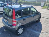 Usata Fiat Panda Emotion 69 CV (50 kW) 2011 Grigio Utilitaria