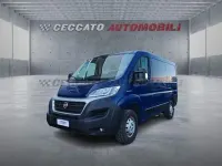 Usata Fiat Ducato 116 CV (85 kW) 2019 Blu Furgone