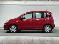 Usata Fiat Panda Easy 69 CV (50 kW) 2020 Grigio Utilitaria