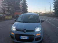 Usata Fiat Panda 69 CV (50 kW) 2018 Grigio Utilitaria