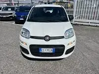 Usata Fiat Panda S 69 CV (50 kW) 2021 Bianco Utilitaria
