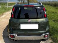 Usata Fiat Panda Cross Cross 86 CV (63 kW) 2020 Verde Utilitaria