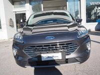 Usata Ford Kuga Titanium X 150 CV (110 kW) 2023 Marrone SUV