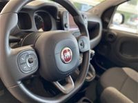 usata Fiat Panda Cross 1.0 FireFly S&S Hybrid City usato