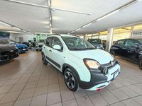 Usata Fiat Panda Cross Cross 69 CV (50 kW) 2024 Bianco Utilitaria