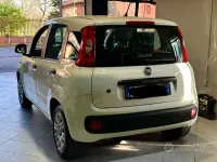 Usata Fiat Panda Easy 69 CV (50 kW) 2017 Bianco Utilitaria